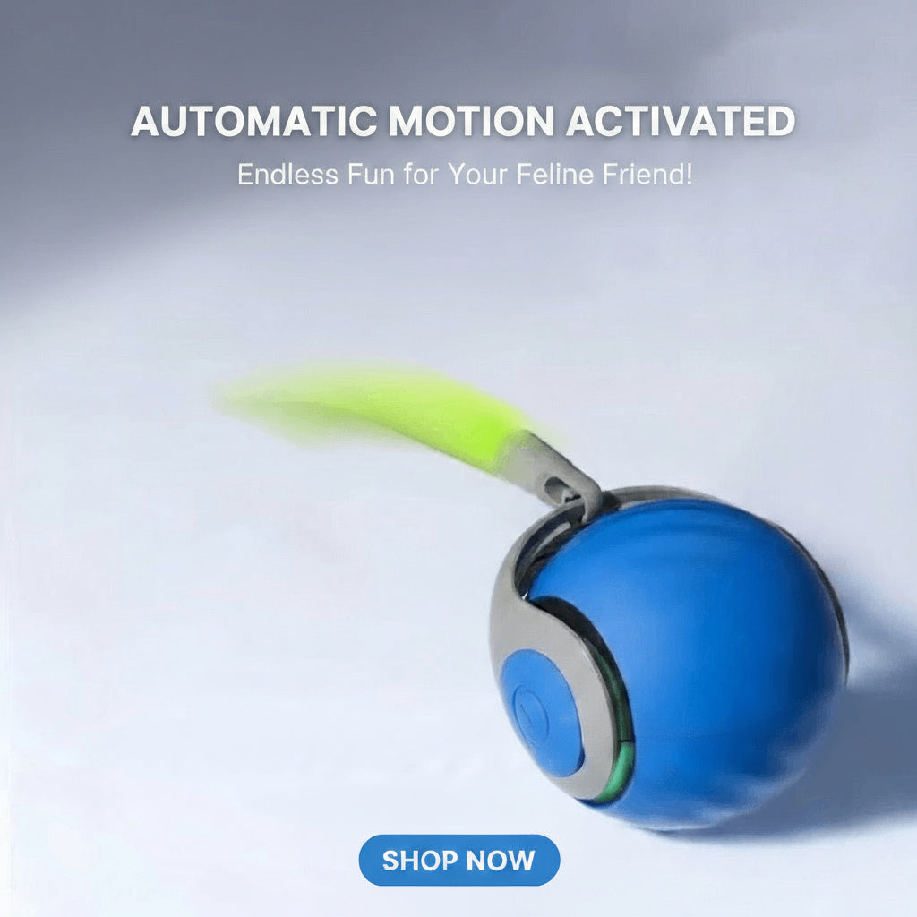 Smart Motion Cat Toy Ball – USB Rechargeable