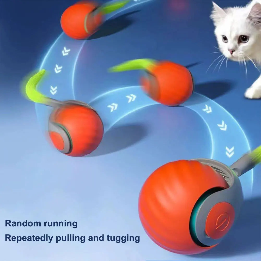 Smart Motion Cat Toy Ball – USB Rechargeable