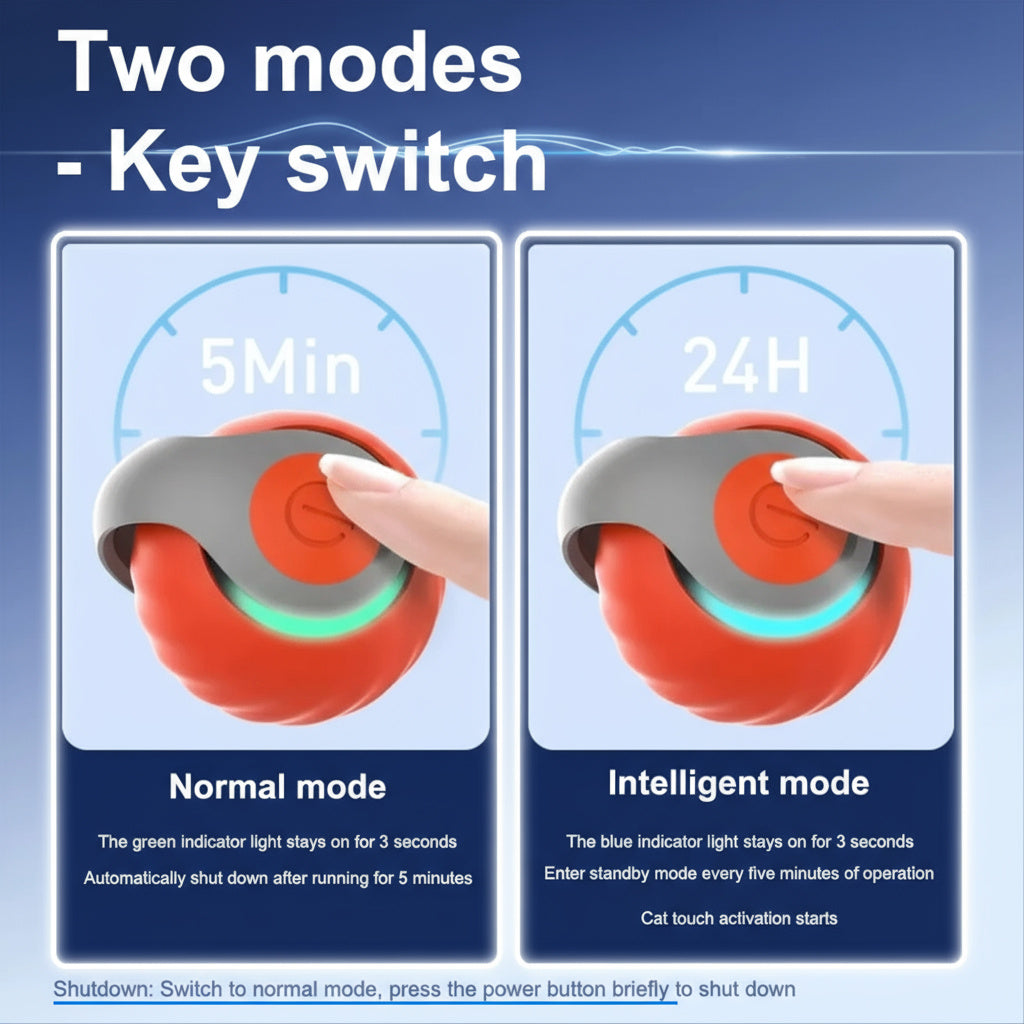 Smart Motion Cat Toy Ball – USB Rechargeable